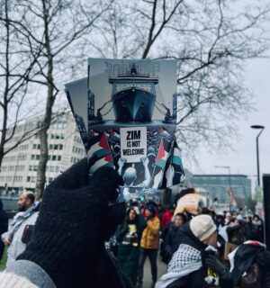 Anuna De Wever Instagram - Free Palestine