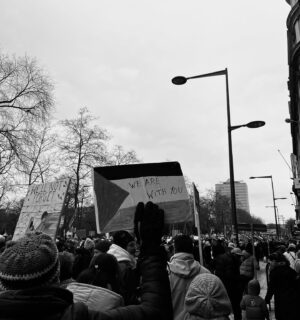 Anuna De Wever Instagram - Free Palestine