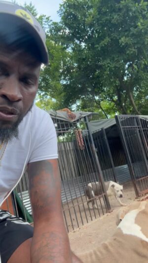 Anwan Glover Instagram - Tonight @restaurant_55_ it’s going down my people see yall in a few hours it’s beautiful out side let’s turn up I can’t wait to get back on stage G #imjustanuptownboy #backyard4life 💪🏽❤️👑🌪️🌪️🌪️🌪️🌪️🐶🐶 wish I could bring my two gangsters with me tonight 🎤🎼🎼🎼🎼🎼 @backyardband @raasanfuller @dawaynen @kroniclover2 @saucebyb4life @losofbyb @eb_backyard @whiteybyb_ @pauledwards0808 @syvellestory_byb @bigbob43 @sweetthangbyb @ everybody tonight restaurant 55 let’s CRANK OUT 💯