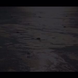 Anwen O'Driscoll Instagram - You Can Live Forever trailer.  so excited to share this with you.

@tribeca