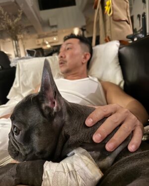Apisit Opasaimlikit Instagram - ทำไมกูต้องรักมึง #ollie @olliegoodboii  #frenchie #frenchbulldog