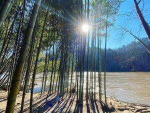 April Billingsley Instagram - Enjoyed a lovely afternoon hike to the bamboo forest this Sunday with my parents #hiking #bambooforest