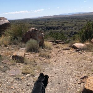 April Mullen Instagram - Trailer living with my Partner in Crime, El Perro! #trailerlife #aprilmullen #doglife #shotlisting