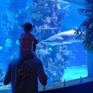 Archie Renaux Instagram - 🦈