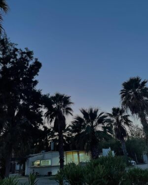 Arda Kalaycı Instagram - bodrum dump