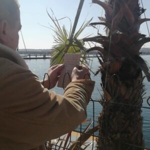 Arda Kural Instagram - ZEKİCE HANGİ LİSANDIR ŞİİRİM.
