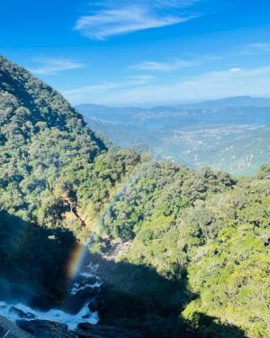 Arianne Botelho Instagram - Cachoeira do Bracui 💙🥹 
La no fundo, dava pra ver Angra dos Reis! 
Imersa na natureza eu me sinto mais pertinho de Deus, dos meus guias, orixás e de quem me acompanha na minha espiritualidade. 
Que lugar mágico! 
Que euforia eu senti em estar nessa imensidão! #cachoeiradobracui #bananal #natureza