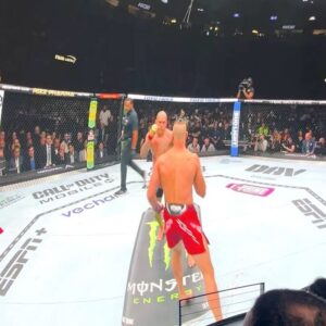 Ariel Helwani Instagram - Pretty incredible way to watch fights. 

H/t @experiencecosm, @cosmlosangelesca