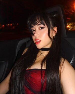 Artemis Instagram - category is: pirate party 🏴‍☠️