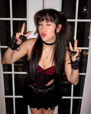 Artemis Instagram - category is: pirate party 🏴‍☠️