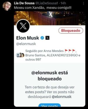 Arthur Morisson Instagram - Agora o Elinho Moska tremeu na base, a Lia De Sousa bloqueou ele. Entenda.