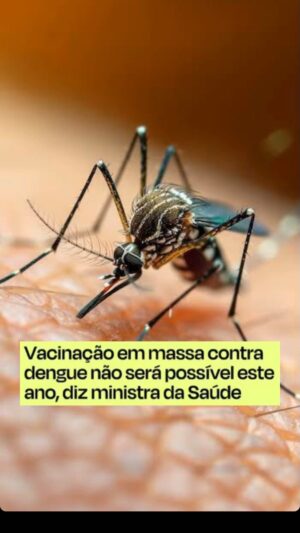 Arthur Morisson Instagram - Não teremos vacina contra dengue por questões de segurança nos testes.

Ué???? Como assim?? 

Estão preocupados com a segurança agora?

Onde será que eu já ouvi isso?

Não era esse o discurso para atacar Bolsonaro e chamá-lo de genocida??

Vocês são uma piada mesmo! 😂