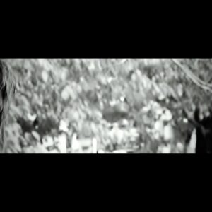 Artin Shahvaran Instagram - ويديوى كامل مريم رو كه سال ٢٠١٠ منتشر شد پست كردم تا قبل از منتشر شدن سيزن دوم آهنگ مريم، يه كم خاطره بازى كنيم. مريما رو زير پست تگ كنيد

خدا رو شكر دوره اين مدل مو و اتو مو گذشت. چه عذابى مى كشيديم
🤦🏻‍♂️😅
--------------------------------------
Singer & Producer: Artin Shahvaran
Release Date: 2010
Lyrics By: Maryam Asadi
Music & Arranged By: Artin Shahvaran
Mix & Mastering: Hamidreza Moradi
Guitar: Firooz Veisanloo
Director: Ali Navabi
Actress: Asal Jelveh
-------------------------------------- 
#artinshahvaran #iran #iranian #iraniangirl #irani #iranmusic #irannostalgia #maryam #gemmusic #pmcmusic #tvpersia