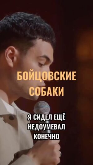 Artyom Vinokur Instagram - Бойцовские собаки @artemvinokur 
#винокур #standup #стендап