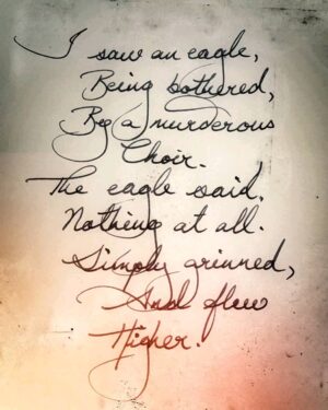 Arunoday Singh Instagram - •
I saw an eagle,
Being bothered,
By a murderous
Choir.
The eagle said
Nothing at all.
Simply grinned,
And flew
Higher.
•
•
#sufisoulpoetry