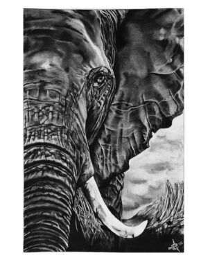 Arunoday Singh Instagram - { CHARCOAL approx 3' x 4.5' }
•
Latest piece of art.

They say there is nothing purer, than the language spoken by an elephant's eyes. And I've always been intimidated by the thought of doing justice to a beloved animal. So I took a crack at it.

Normally I'm too critical, but damn proud of how this turned out.  And had an insanely fun time sketching this piece.
•
Fun process video in my Story
•
#SufiSoulSketchery