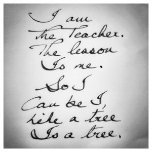 Arunoday Singh Instagram - •
I am
The Teacher.
The lesson
Is me.

So I
Can be I,
Like a tree
Is a tree.
•
•
#SufiSoulPoetry #aspirationallyZenPoetry