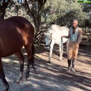 Asaf Avidan Instagram - Spring is springing and we are all stretching outwards towards the sun…
A few random spring moments from the @differentpulses_sanctuary to welcome all you new followers and to say thank you to everyone that’s been following for a while. 
Much love
🌿☀️