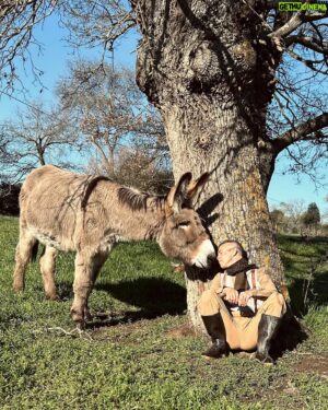 Asaf Avidan Instagram - Spring is springing and we are all stretching outwards towards the sun…
A few random spring moments from the @differentpulses_sanctuary to welcome all you new followers and to say thank you to everyone that’s been following for a while. 
Much love
🌿☀️