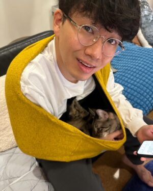 Asei Miki Instagram - 昨日5/25は保護猫の日でした！忘れてました！
うちの子達は保護猫です！
日々このような感じで過ごしてます！

#保護猫の日
#保護猫
#ねこ