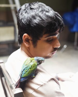 Ashish Verma Instagram - Find a shoulder to make your journey lighter … just don’t shit on it 🤷
#philosophy #musings #deep