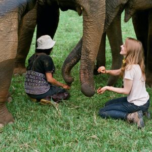 Ashley Bell Instagram - Happy World Elephant Day! I was cellularly changed after meeting an elephant in the jungle. Their jungle, doing their thing, breathing their air, with no one to stop them. Under @lek_chailert guise so the elephants were safe, and the people were too. Some pics and video from Cambodia, Thailand and Kenya. Going through the airport for @loveandbananasmovie security would not manually check the film so they put it through the X-ray. At the time I was in a sheer panic but now my favorite part of these pictures are the white blobs. 🐘 #worldelephantday #saveelephants #asianelephant #africanelephant #shootonfilm