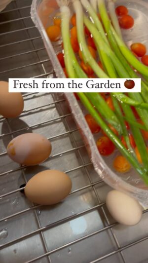 Ashley Davies Instagram - Year-round garden joy with my little helpers! 🌱🍅🥚 Growing green onions, tomatoes, and farm-fresh eggs always! These are the three things we will always have in the backyard. Join us in the garden fun 🤩 ❤️🐓

#Garden #Kids #Homegrown #GreenThumbs #FamilyHarvest #OrganicKids #GrowYourOwnFood #GardenExplorers #HarvestTime #KidsAndGardens #HealthyHarvest #SustainableLiving #BackyardBounty #GardenAdventures #FarmToTable #NatureNurtures #KidsInNature #EcoFriendlyKids #HarvestJoy #EdibleGarden #GrowWithLove #GardenTogether #LittleGardeners #FreshEggsDaily #Tomato #Green #YearRoundHarvest #HomegrownHappiness #NatureLovers #GardenEducation