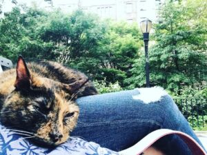 Ashley Jordyn Instagram - Mood. #catsofinstagram #adoptdontshop #differentnotbroken