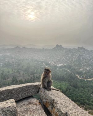 Ashvini Instagram - Page 3 of 365 days ! #hampi #explorekarnataka #travelphotography #traveler