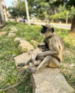 Ashvini Instagram - Page 3 of 365 days ! #hampi #explorekarnataka #travelphotography #traveler
