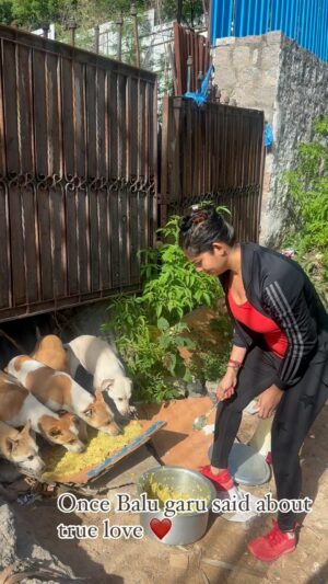 Ashwini Sree Instagram - Feed hungry animals🥹🥹 
It’s my everyday routine to feed dogs in the morning.. please everyone feed hungry animals🥹♥️🥹🙌

#animal #animallovers #dogsofinstagram #dog #dogs #doglover #doglovers #food #hungry #poorpeople #poor #dogslife #feedhunger #animallover #ashwini #bigboss7