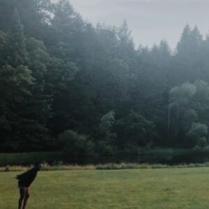 Asjha Cooper Instagram - 🧸