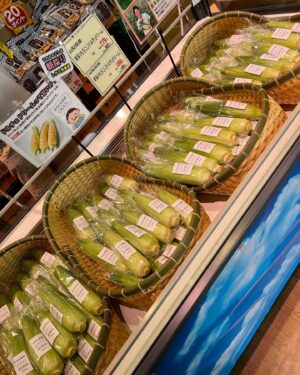 Asuka Kudo Instagram - 改めてご報告。
今年の生トウモロコシ無事に出荷を終え、完売することが出来ました🙇
今年は約3000株植え、1650本出荷させて頂きました。
暑い中、出荷先の店舗さんの方に足を運んで手に取って頂いた方々、本当にありがとうございます。
そしてタイミングが合わなかったり、数に限りがあって手に届かなかった方々、来年も作りますので次の機会に👍

出荷先のいちやまマートさん、ビオセボンさん、ありがとうございました🙇

これから収穫する野菜、秋冬野菜もこれからアップしていくのでお楽しみに☺️

#生トウモロコシ
#ドルチェドリーム#夏
#いちやまマート#ビオセボン
#農業
