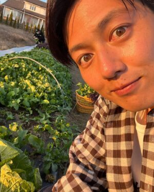 Asuka Kudo Instagram - ルッコラ、紅法師水菜、わさび菜、ミニ白菜、春菊、ほうれん草🤤

すごい元気に育ってます😳
育ちが良すぎてビックリしてる笑笑
嬉しいんだけどね😂

今日は少しだけ収穫して、食べたんだけど、、、、、美味しい😏
自画自賛🙄笑

今度ガッツリ収穫した時の写真や、他の写真も載せるのでお楽しみに🙇‍♂️

#農業　#野菜
#春菊　#わさび菜
#ミニ白菜　#ほうれん草
#紅法師水菜