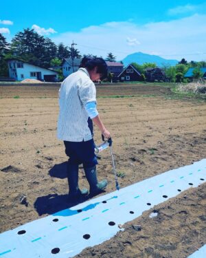 Asuka Kudo Instagram - ストーリーでも載せましたが、今年のジャガイモの定植🥔
今年は、「さやあかね」と「インカのめざめ」を植えました☺️
「さやあかね」は北海道で主に作られてるジャガイモで、本州で本格的に生産するのは、、、初めて？なのかな？他の農家さんでも作ってたりするらしいんですが、本格的にやるのは初めてらしいです。
もし、違ってたらすみません。
むしろ教えてください😅

3枚目の写真は、有吉ゼミのディレクターをしている方の家族が遊びに来てくれました☺️
なので、ジャガイモの植え付けを体験してもらいました！
僕がずっとやりたかった事の一つです🙇
農業の魅力を次の世代の人達に伝えていける手伝いをさせて頂けたらという思いがあって！
4枚目の写真は、マルチに穴を開ける道具です😂

#さやあかね#インカのめざめ
#農業#農業体験#ジャガイモ　
#北杜市