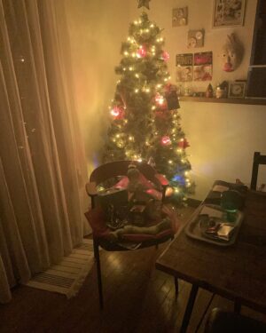 Atsuhiro Tsuda Instagram - メリークリスマスーすすー
#メリークリスマスーすすー
