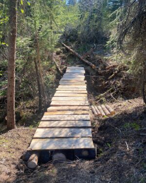 Atz Lee Kilcher Instagram - I could say this bridge is crucial for access to hunting and fishing and my very survival but really I just made it for fun and to take walks on it. #lifeordeath #hunting #fishing #remote #cantstopwontstop #building