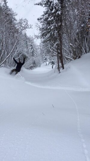 Atz Lee Kilcher Instagram - Can you feel me?! Spend days in a canyon last fall with the bears and bugs, clearing brush and trees in hopes of a winter payout. ……. It payed out big.
#alaska #snowboarding #dreams #pow #nevergiveup