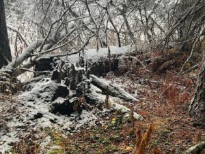 Atz Lee Kilcher Instagram - I present to you Autumn in Alaska. 
#shegone #fast #winterfall #bringiton