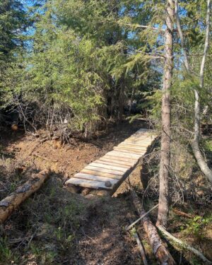 Atz Lee Kilcher Instagram - I could say this bridge is crucial for access to hunting and fishing and my very survival but really I just made it for fun and to take walks on it. #lifeordeath #hunting #fishing #remote #cantstopwontstop #building