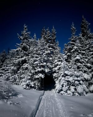 Atz Lee Kilcher Instagram - The hidden entrance to far off places. Dads new retirement cabin looking all mystical and shit. 
#fullmoon #narnia #Alaska