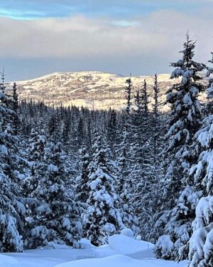 Atz Lee Kilcher Instagram - Happy holidays from the last frontier. 

#Alaska #winter #hope