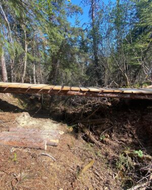 Atz Lee Kilcher Instagram - I could say this bridge is crucial for access to hunting and fishing and my very survival but really I just made it for fun and to take walks on it. #lifeordeath #hunting #fishing #remote #cantstopwontstop #building