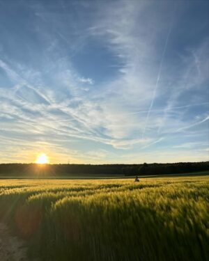 Audrey Ho-Wen-Tsaï Instagram - • Nature, a source of peace in my mind 🌾
 

@missguyane.organisation 

#peace #nature #sunset #missguyane2023