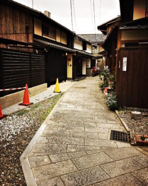 Audrey Marie Anderson Instagram - Our street for a week.