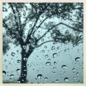 Audrey Marie Anderson Instagram - #sundaymorning