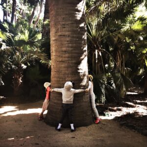 Audrey Marie Anderson Instagram - Go hug a tree! #treehuggers #LotusLand