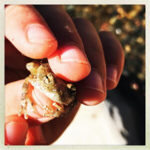 Audrey Marie Anderson Instagram - #froghugs #catchandrelease