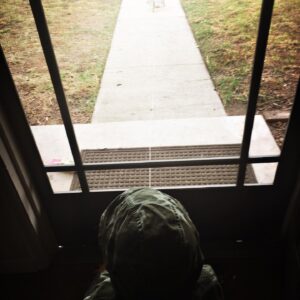Audrey Marie Anderson Instagram - DIY bird trap. 1 medium wire egg basket, 1 stick, pair of gloves, 15 feet of string, bird seed, quick reflexes and patience. Prop basket up on one side with stick, wrap and tie string to stick, trail the string 15 feet or so from trap site and wait. 
Courtesy of my daughter. 
#sundaymorning #catchandrelease