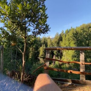 Augusto Schuster Instagram - El Sur de Chile y sus maravillas ✨🌱🍃 @termaselrincon Gracias por hacer de este viaje aún mas especial.. 💚 Gorrito pa la 👨🏻‍🦲